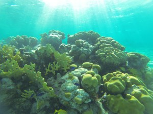 #nofilter but so blue