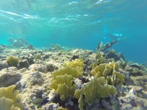 now realizing most these pics look the same but it is jut SO PRETTY