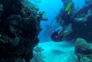 swimming into the grotto