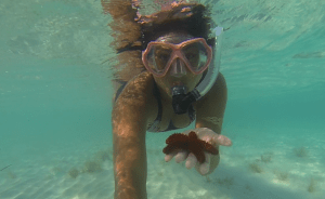 making friends on Long Bay Beach