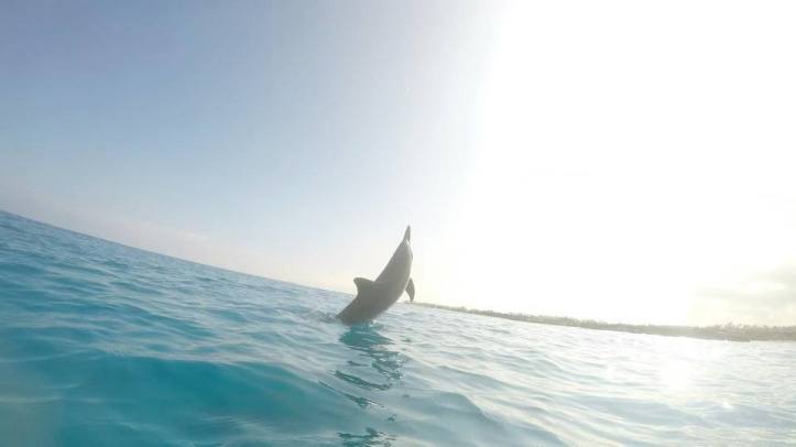 19059061_10213644871460759_2133151720941226335_n