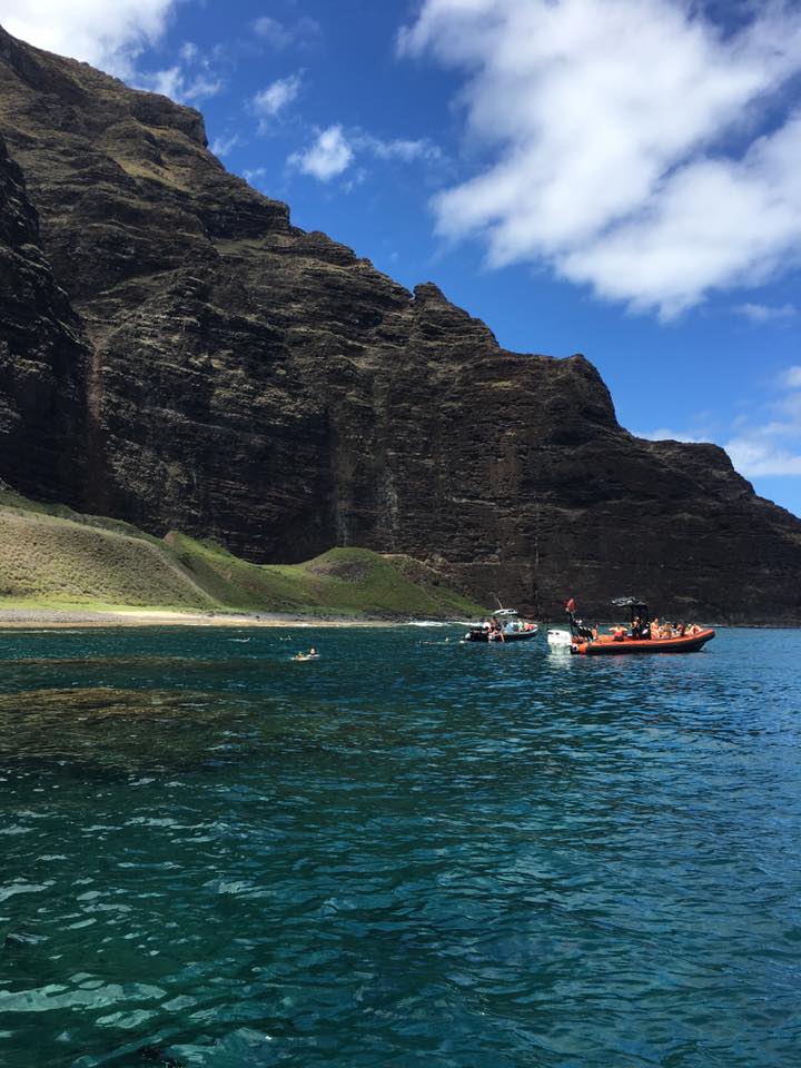 19554381_1453239931403006_3392898906374649290_n