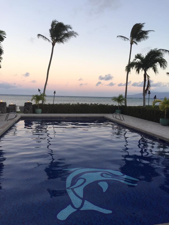 19702244_10213888259145299_6240393885893021901_n